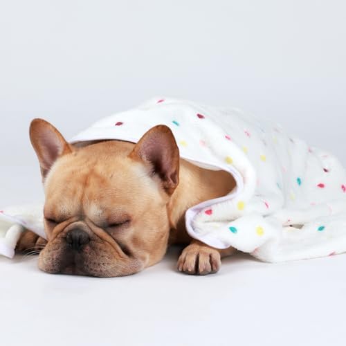 Luciphia 1 Pack 3 Blankets Super Soft Cute Dot Pattern Pet Blanket Flannel Throw for Dog Puppy Cat Medium(30x20), Brown - Image 5