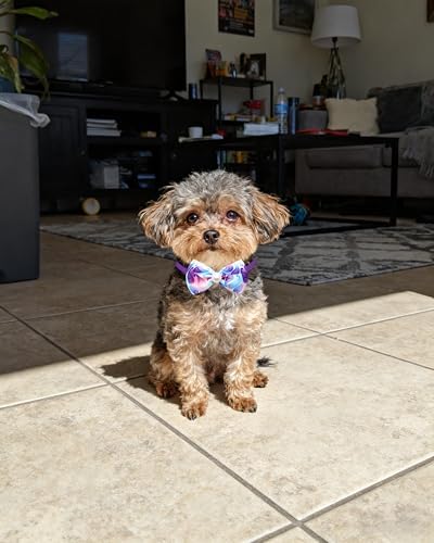 PET SHOW 50 Pack Paisley Small Dog Collar Bow Ties Bulk Puppy Cats Adjustable Bowties for Medium Dogs Floral Bowknots Holiday Party Ties Pet Grooming Accessories Assorted Randomly - Image 6