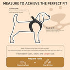 PUPTECK Dog Harness, Collar and Leash Set No Pull for Small Medium Sized - Image 2