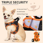 PUPTECK Halloween Dog Harness, Collar and Leash Set No Pull for Small Sized - Image 5