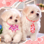 Talltalk 120 Pcs Easter and Valentines Dog Bow Tie Collar Set Pet Adjustable Grooming Holiday Accessories Decoration for Dog Cat - Image 4