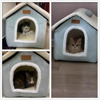 Christmas Cat Tent Cat Bed Cave(Light Green, S(15.7 X 12.6 X 13.8 Inch)) - Image 5