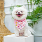 PUPTECK Dog Harness, Collar and Leash Set No Pull for Small Medium Sized - Image 6