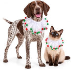 Pet Halloween Dog Clothes,Dinosaur Costume for Dogs,Purple,S by Retreon-DogClothingCollection