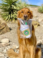 Nestpark Parody Star Pups Coffee Dog Toy Pup'kin Spice Latte - Funny Plush Squeaky Crinkle Dog Toys for Medium, Small and Large for Dog Birthday - Image 7