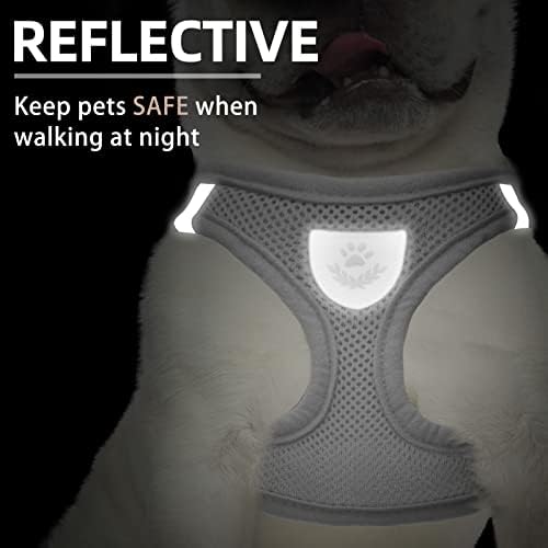 PUPTECK Dog Harness, Collar and Leash Set No Pull for Small Medium Sized - Image 5