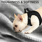 PUPTECK Dog Harness, Collar and Leash Set No Pull for Small Medium Sized - Image 6