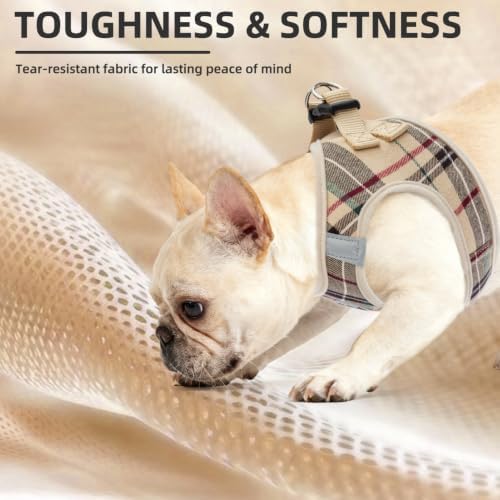 PUPTECK Dog Harness, Collar and Leash Set No Pull for Small Medium Sized - Image 6