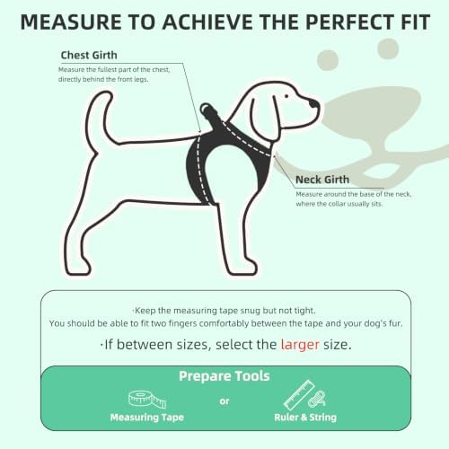 PUPTECK Dog Harness, Collar and Leash Set No Pull for Small Medium Sized - Image 2
