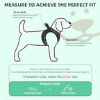 PUPTECK Adjustable Dog Harness Collar and Leash Set Step in No Pull Pet Harness for Small Medium Dogs Puppy and Cats Outdoor Walking Running, Soft Mesh Padded Reflective Vest Harnesses, Solid Green XS - Image 2