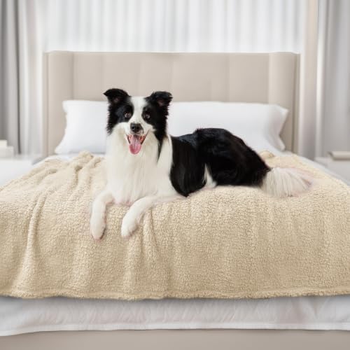 Luciphia Ultra Soft Sherpa Fleece Dog Puppy Cat Blanket for Small Pets by luciphia
