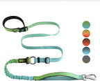 Roses&Poetry Hands Free Dog Leash for Medium Large Dogs Heavy Duty, No Pull Bungee Dog Running Waist Leash for Walking Training with Car Seatbelt 4-6FT