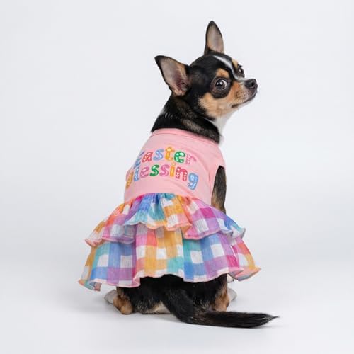 Fitwarm Easter Blessing Dog Dress, Easter Outfit for Small Dogs Girl, Colorful Pet Clothes, Pink, Blue, Orange, White, Medium - Image 4