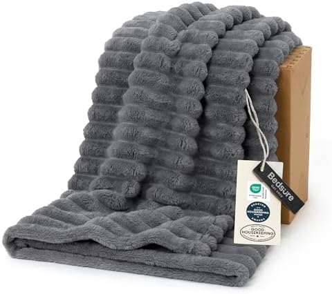 Bedsure Soft Twin Blanket for Bed Decor Gifts Frost Gray 60"x80" by BEDSURE