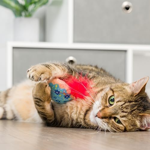 Huxley & Kent Plush Cat Toy - Hanukkah Interactive Catnip Toy for Cats & Kittens - Soft with Crinkle & Catnip - Fun Indoor Play - Jelly Roll & Meowchewitz 2pk - Image 5