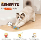 8Pcs Catnip Cat Mice Toys Interactive Mouse Cat Toy for Indoor,Adult & Kitten Cat Toys for Playing, Chewing & Teeth Cleaning - Image 4