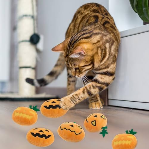 6pcs Halloween Pumpkin Catnip Toy，Hallowen Indoor Pumpkin Shaped Cat Toy Plush Interactive Chew Bite Toys for Cat Kitten Indoor Festive Holiday Cat Lover Gift - Image 6
