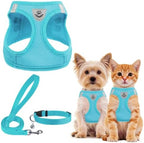 PUPTECK Dog Harness, Collar and Leash Set No Pull for Small Medium Sized by PUPTECK