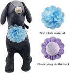 PET SHOW 50pcs Pack Dog Collar Flowers and Bows Random Assortment Blind Bag for Boy Girl Small Medium Large Dogs Cats Rabbits Flowers Slide on Collars Harness Costume Grooming Accessories Male Female - Image 5