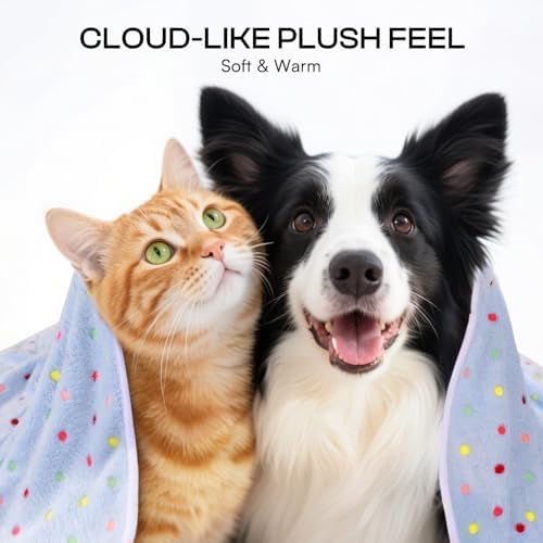 Luciphia 1 Pack 6 Dog Blankets Cat Soft Fluffy Fleece Pet Blanket Warm Cute Print Design Puppy Kitten Doggy Dot Large(41"x31") - Image 2