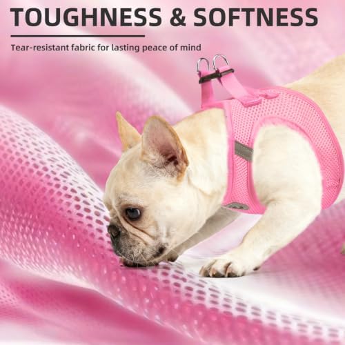 PUPTECK Dog Harness, Collar and Leash Set No Pull for Small Medium Sized - Image 4