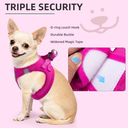 PUPTECK Dog Harness, Collar and Leash Set No Pull for Small Medium Sized - Image 5