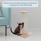 Cat Scratching Post with Carpeted Base - 27.75-Inch Sisal Burlap Fabric Scratcher - Furniture Scratching Deterrent for Indoor Cats by PETMAKER (Beige) - Image 3