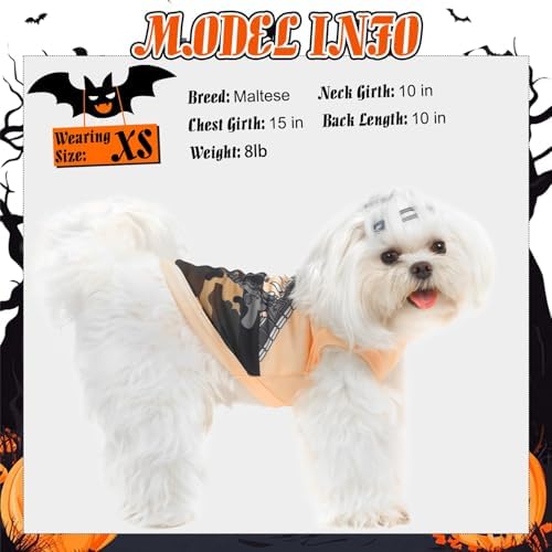 BINGPET Dog Halloween Shirt, Gunner Funny Costumes, Soft Cotton T-Shirt - Image 3