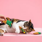Fringe Studio Plush Cat Toy Set, Cat-Us Friends, Mini 3 Piece Set, Pet Shop Collection (904033) - Image 5