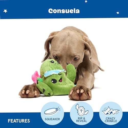BarkBox Consuela the Cactus 2-in-1 Interactive Plush Dog Toy - Image 4