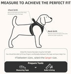 PUPTECK Dog Harness, Collar and Leash Set No Pull for Small Medium Sized - Image 2