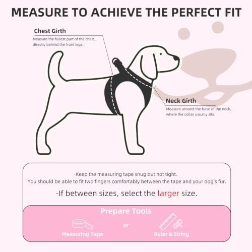 PUPTECK Dog Harness, Collar and Leash Set No Pull for Small Medium Sized - Image 2