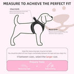PUPTECK Dog Harness, Collar and Leash Set No Pull for Small Medium Sized - Image 2