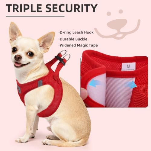 PUPTECK Dog Harness, Collar and Leash Set No Pull for Small Medium Sized - Image 5