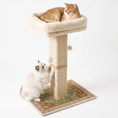 Cat Scratching Post with Bed for Indoor Adult Cats, Cat Perch,Green by Unknown