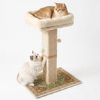 Cat Scratching Post with Bed for Indoor Adult Cats, Cat Perch,Green by Unknown