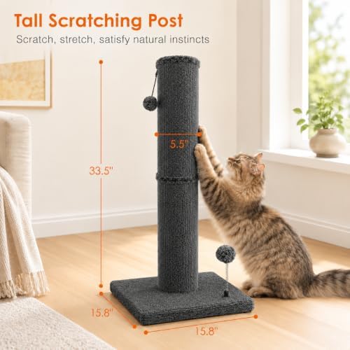 Carpet Cat Scratching Post Heavy Duty for Indoor Large Cats, DGRY - Image 3