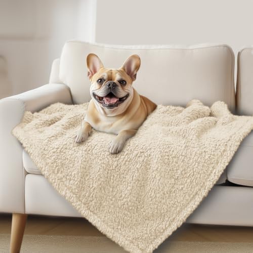 Luciphia Premium Fleece Pet Blanket for Small Medium Dogs Puppy Soft Sherpa Calming Cat Throw Blankets(Beige,41x31 inches) by luciphia