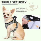 PUPTECK Dog Harness, Collar and Leash Set No Pull for Small Medium Sized - Image 5