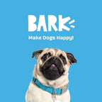 BARK AIR Head RIP N Reveal Squeaky Plush Dog Toy, Orange, X-Small/Small - Image 7
