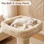 Cat Scratching Post with Bed for Indoor Adult Cats, Cat Perch,Green - Image 4