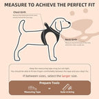 PUPTECK Dog Harness, Collar and Leash Set No Pull for Small Medium Sized - Image 2