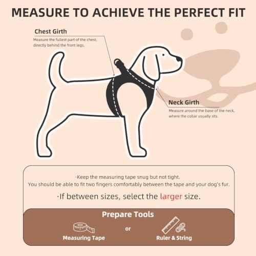 PUPTECK Dog Harness, Collar and Leash Set No Pull for Small Medium Sized - Image 2