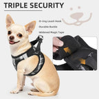 PUPTECK Dog Harness, Collar and Leash Set No Pull for Small Medium Sized - Image 5