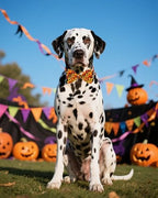 PET SHOW 30 Pack Halloween Dog Bowties Bulk for Large Dogs - Image 6