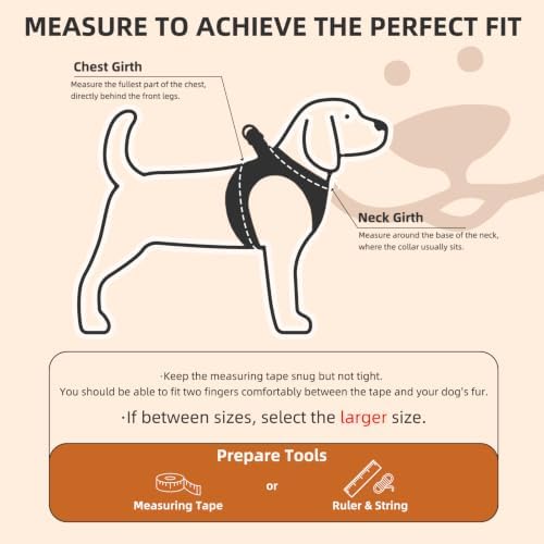PUPTECK Halloween Dog Harness, Collar and Leash Set No Pull for Small Sized - Image 2