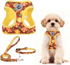 PUPTECK Dog Harness, Collar and Leash Set No Pull for Small Medium Sized by PUPTECK