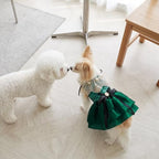 Princess Dog Dresses for Small Dogs Girl Sequin Dog Birthday Dress - Image 5