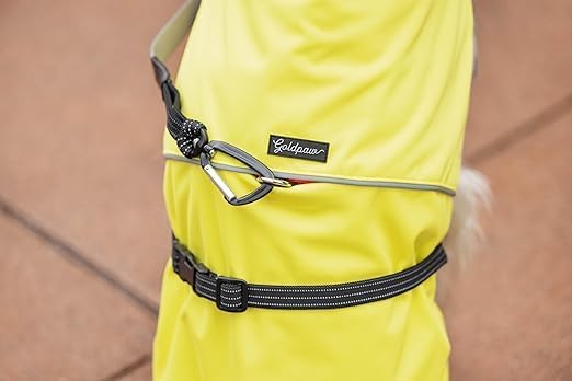Goldpaw Rainpaw Waterproof Dog Raincoat - Durable Dog Rain Jacket for Small Dogs - Easy to Wear, Adjustable, Premium Pet Outerwear - Made in The USA - Machine Washable - Black Bean - Size 10