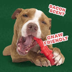BarkBox The Gnawtcracker Super Chewer - Toy for Large Dogs - Image 2